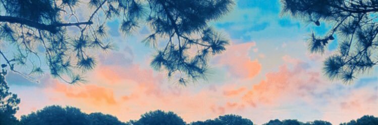 paulasantodood's profile banner image