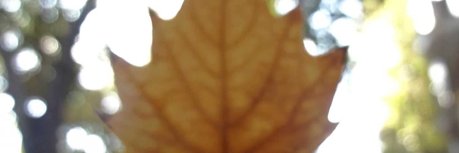 EdwinNUI's profile banner image