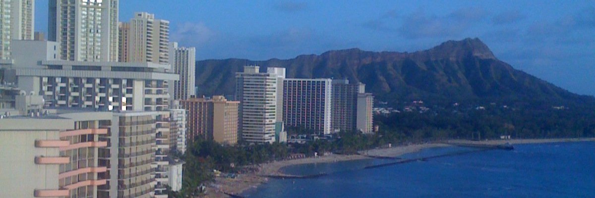 Flower (1997-2020) 🌹 banner