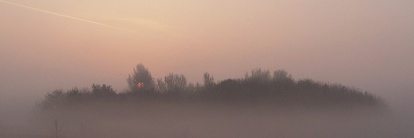 VickiL's profile banner image