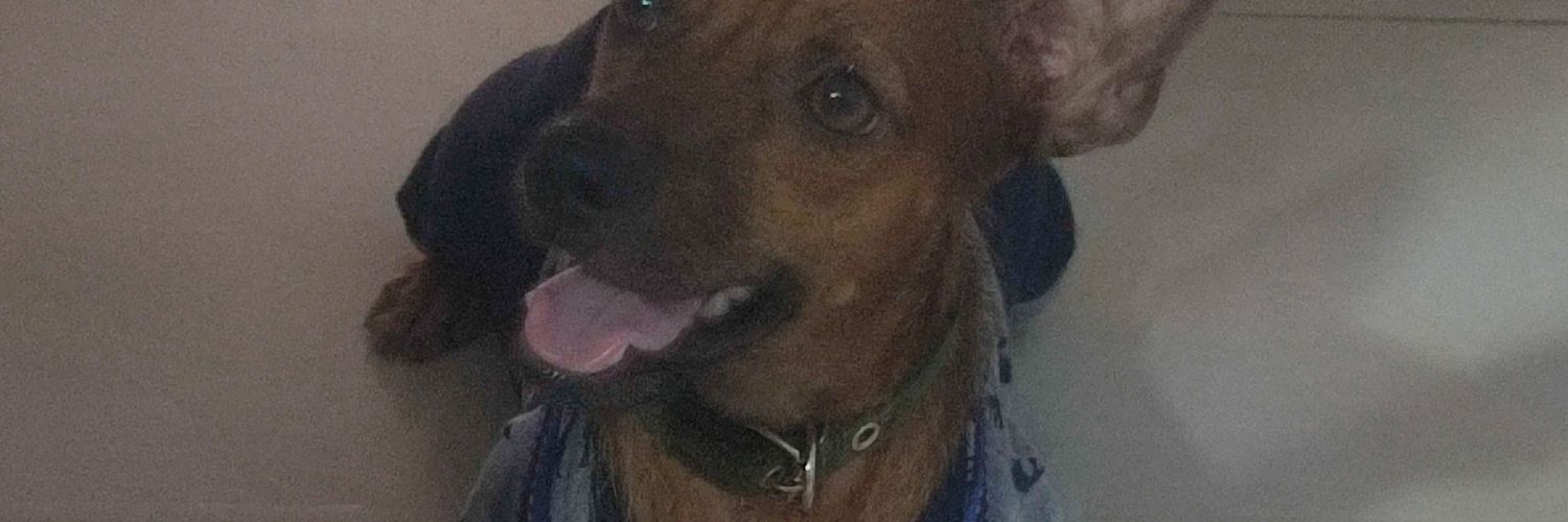 DAVIDMIGUE's profile banner image