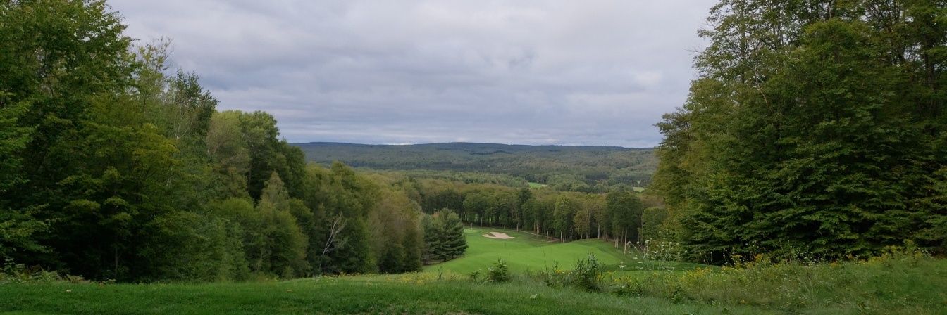 The Real Lefty banner