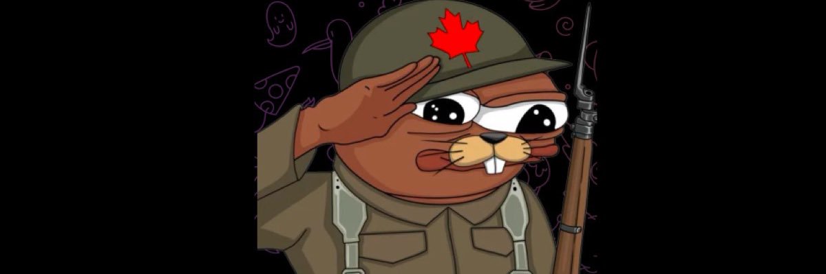 Crash Test Canadian's banner
