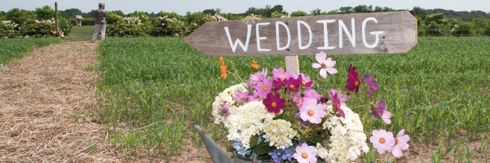 NorthSouthForkWed banner