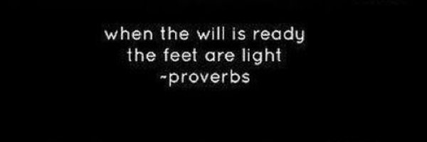 Caldeia Profile Banner