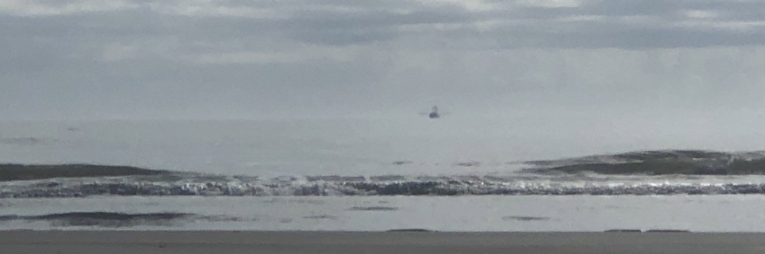 Roger Crowe ⛵️ banner