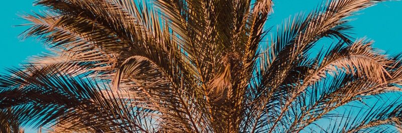 CieraHyatt's profile banner image