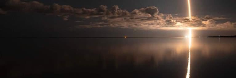 桃汁夭夭 🍑🍌 banner