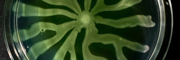 AdaMunozz Profile Banner