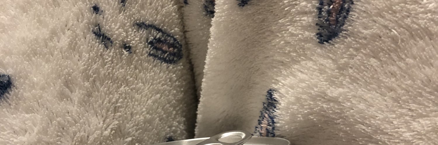 zapgc's profile banner image