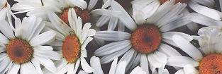bethaniagk's profile banner image
