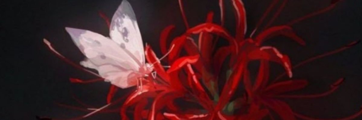 aura_anemone's profile banner image