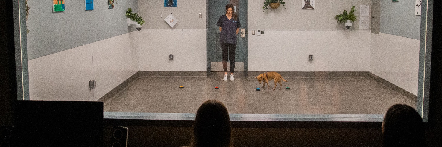 UBC Human-Animal Interaction Lab banner