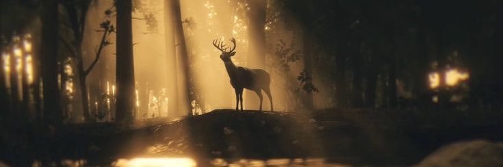 jonah - THE ATF HATES HIM! banner