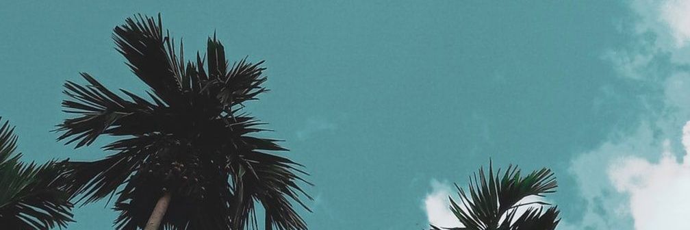 Twitter banner for @Shivamzer
