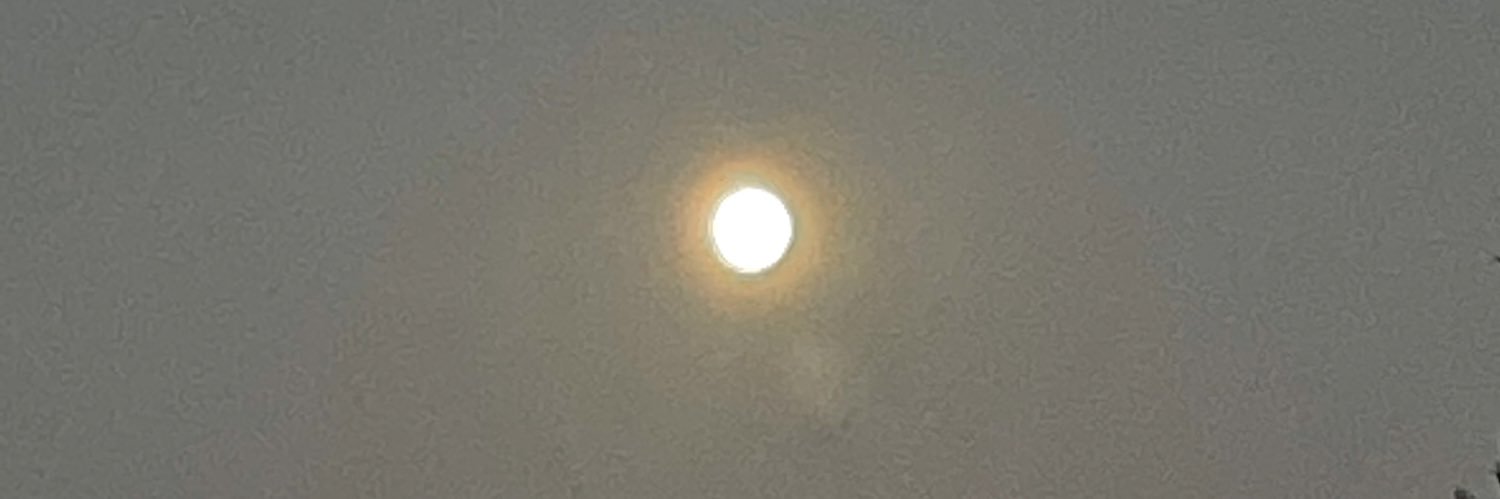 ☼ 𓃬 SaRah ☼ 𓃬 banner