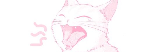 SeltiHa's profile banner image