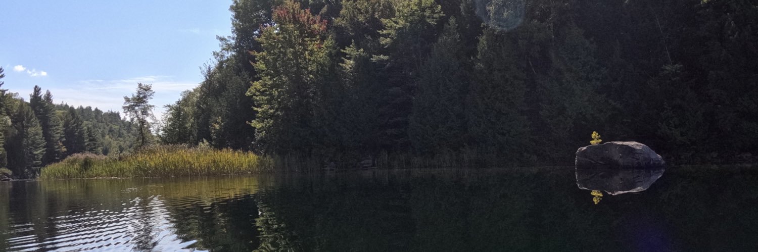 danlargo's profile banner image