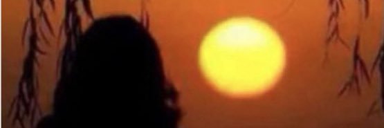 ‏﮼بائعة﮼الورد 🕊🌸🇸🇦 banner