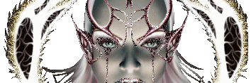SalvatellaChiar's profile banner image