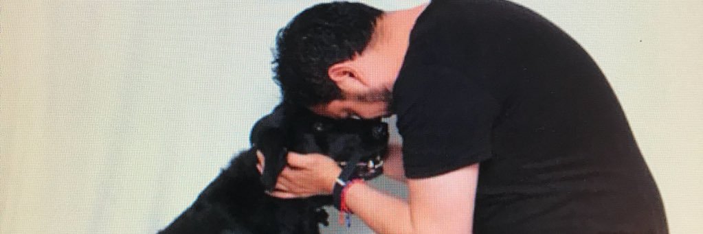 josebgq's profile banner image