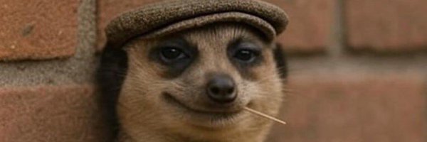 decampo100 Profile Banner