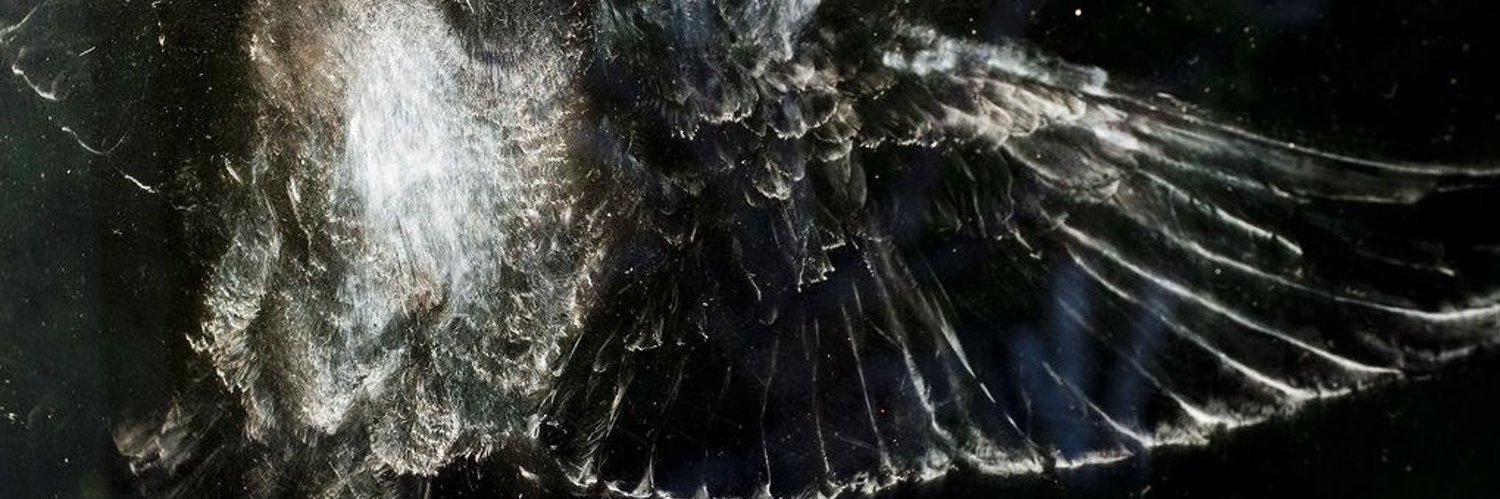 cakecokaa's profile banner image