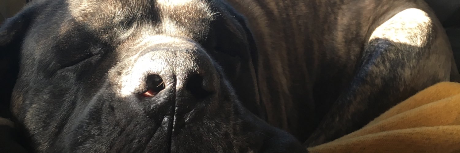 PerryOz's profile banner image