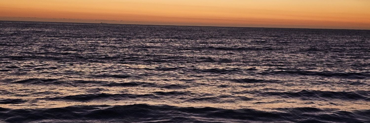 bluue_____'s profile banner image