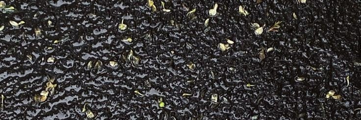 flickrpe's profile banner image