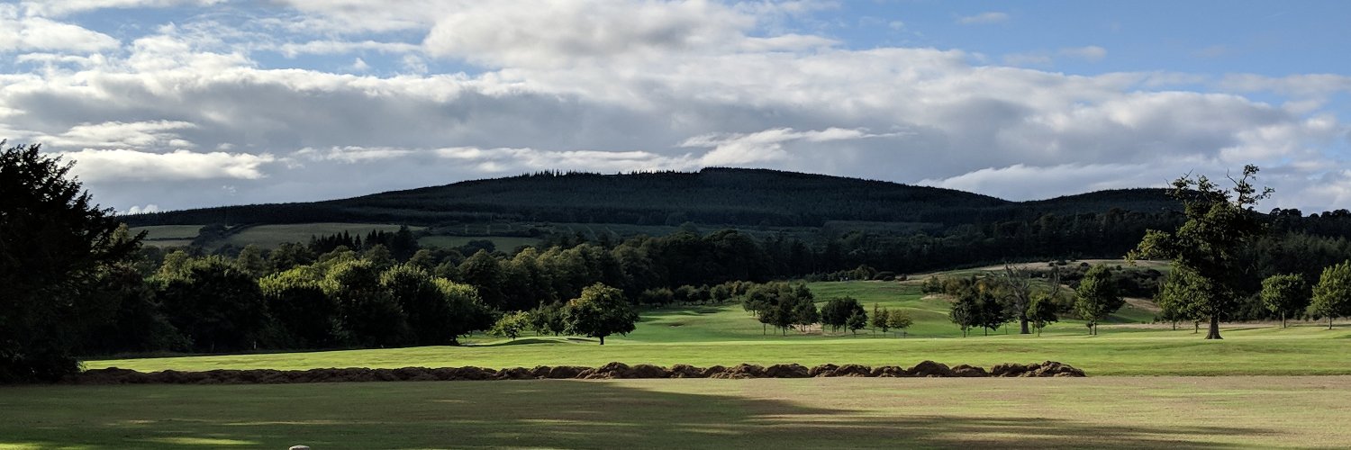 DavidEGrayson banner