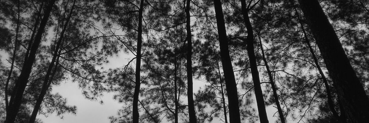 aqib_aja's profile banner image