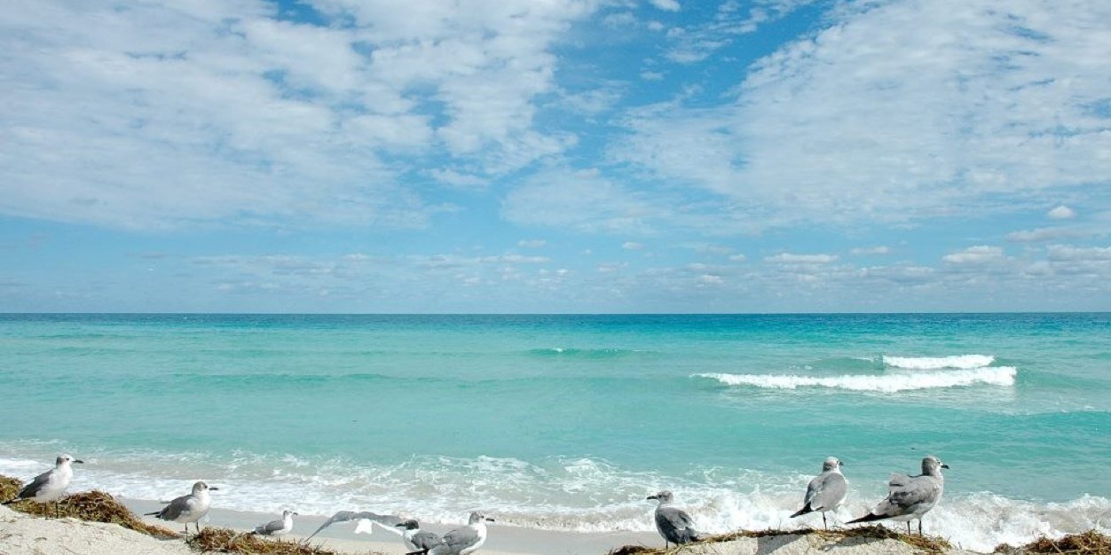 NASWSWFL's profile banner image
