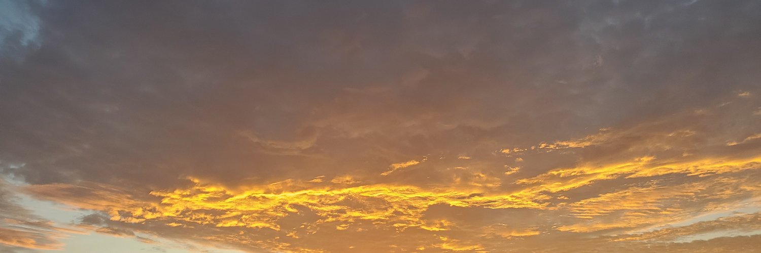 New Day Here banner