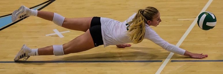 AddisonVB's profile banner image