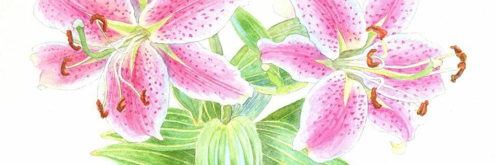kareyness's profile banner image