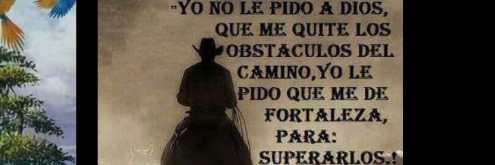 hernanpuentes74's profile banner image