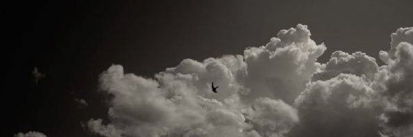 Farna banner
