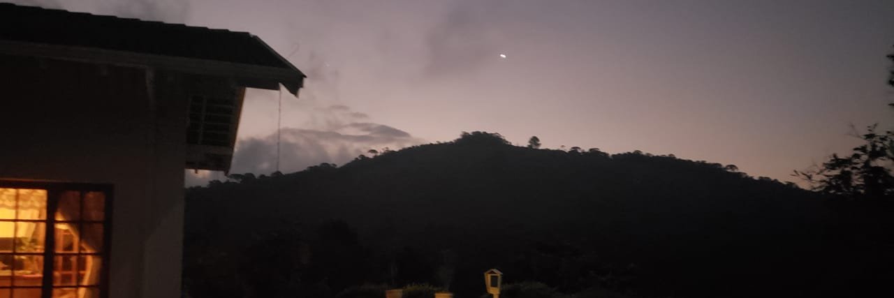 Paolo Zanotto, D.Phil. banner