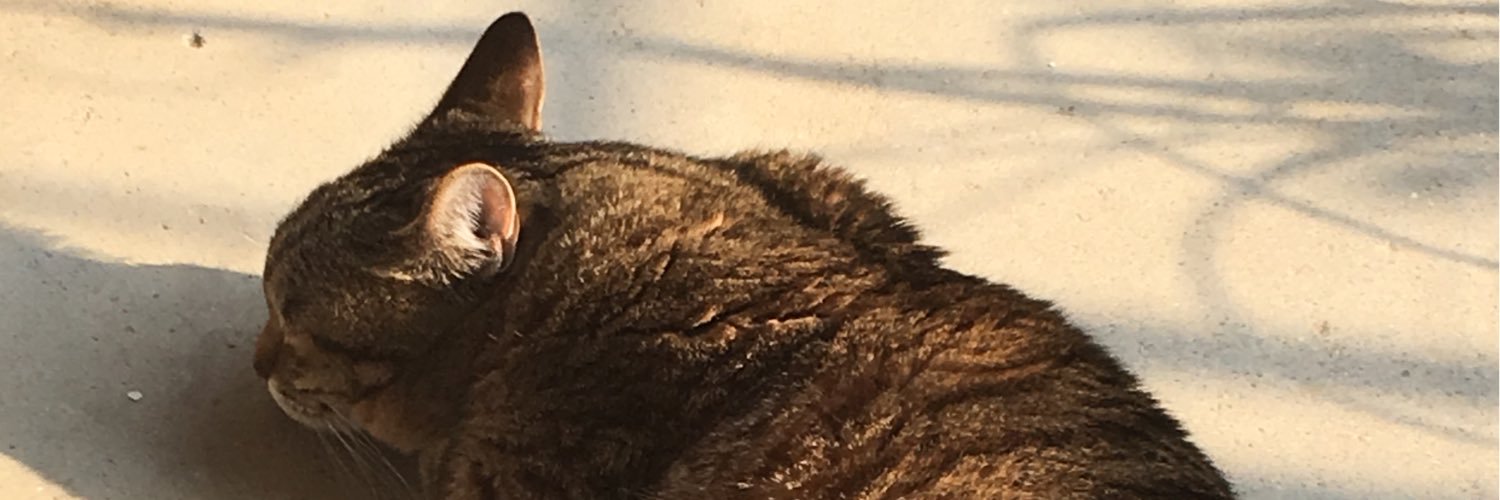 Yu__0510's profile banner image