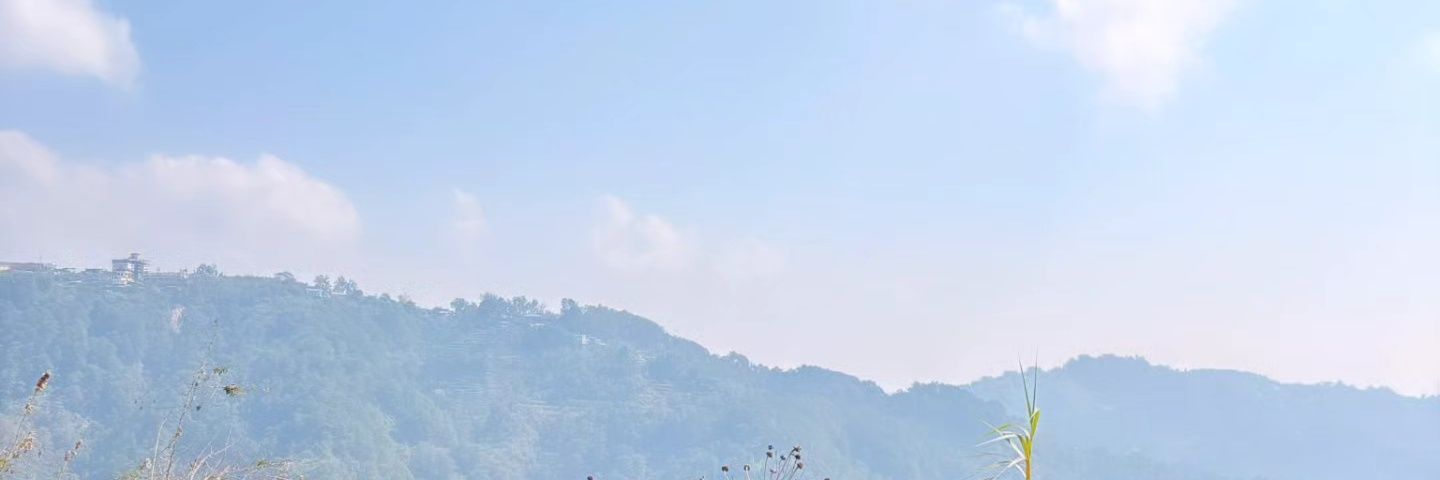 Huey 🦉 banner