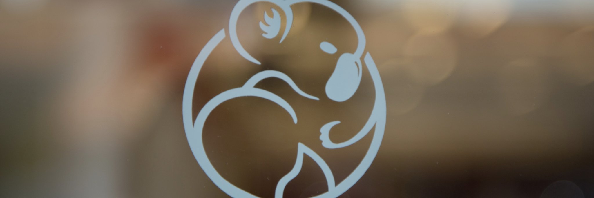 Code Koalas banner