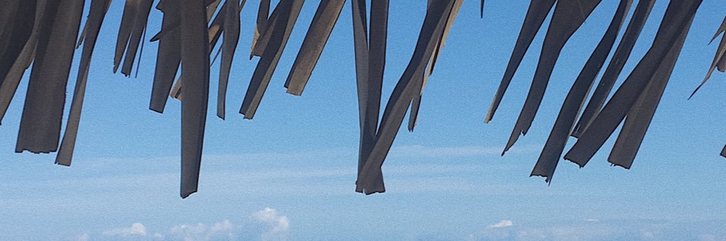 ariburchi's profile banner image