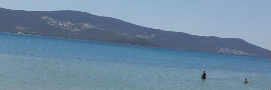 blent24266716's profile banner image