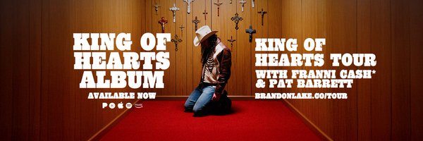 brandonlake Profile Banner