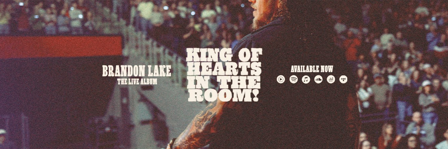 brandonlake's profile banner image