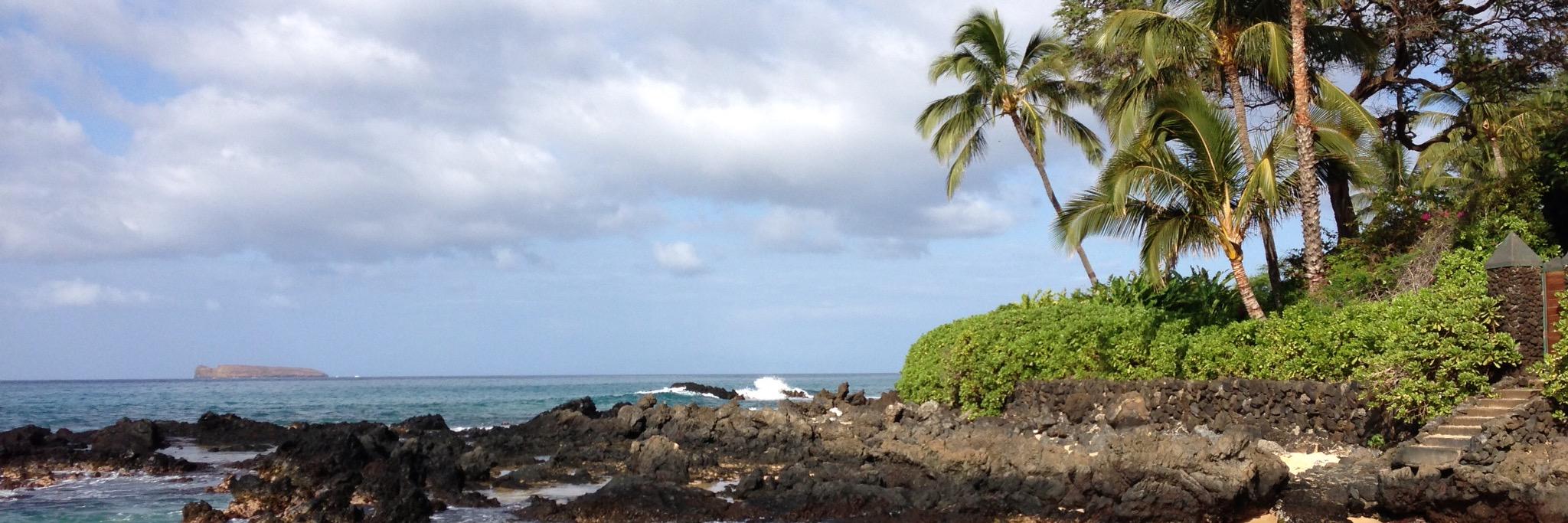 Michael Adams banner