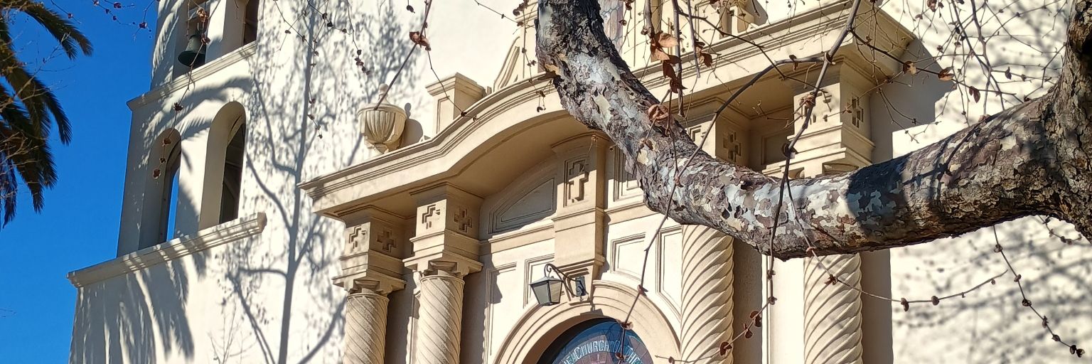 Christmas Elf banner