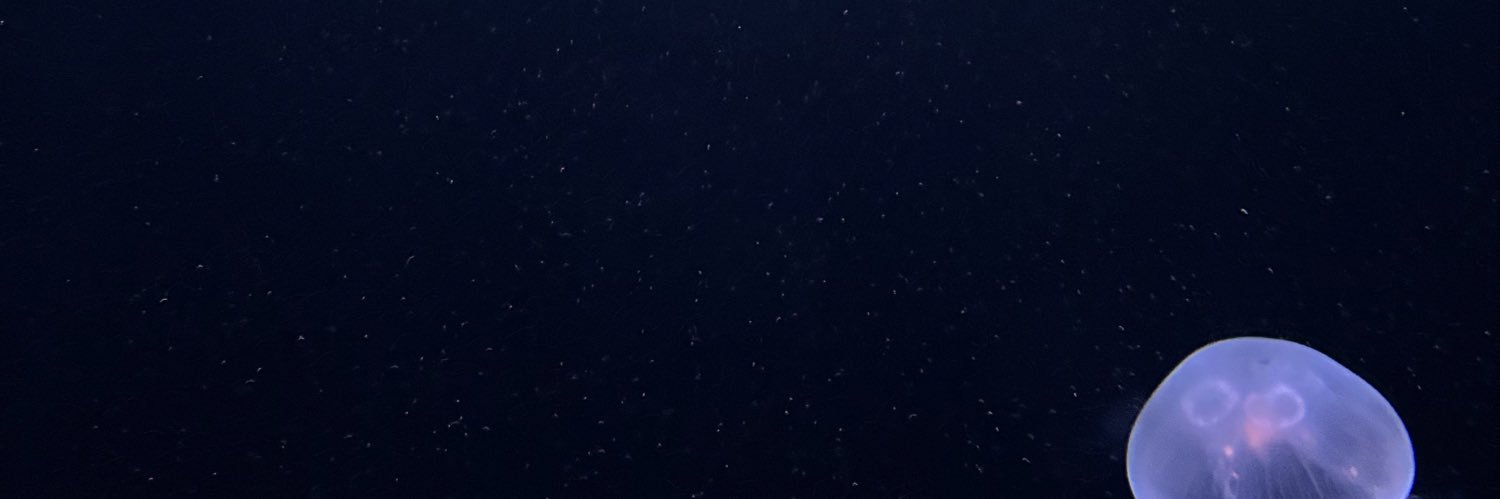 uta_xxa's profile banner image