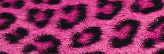bri banner